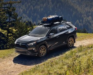 toyota-2025-rav4-hybrid-xle-woodland-midnight-black-l