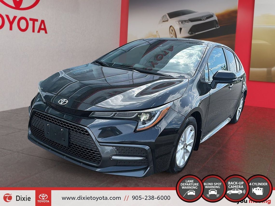 large_front_cd928cd5_a321_4d00_b506_6d30d08734e3_68ec3a2d2d