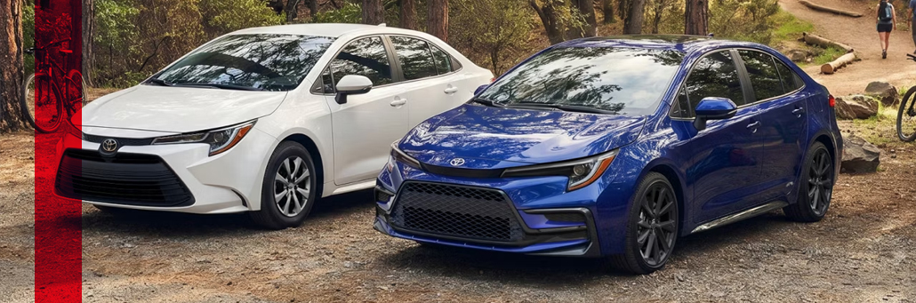 White and blue Toyota Corolla sedans parked beside a wooded trail.